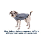 סוודר קנבוס לכלב Hemp Hound Dog Sweater