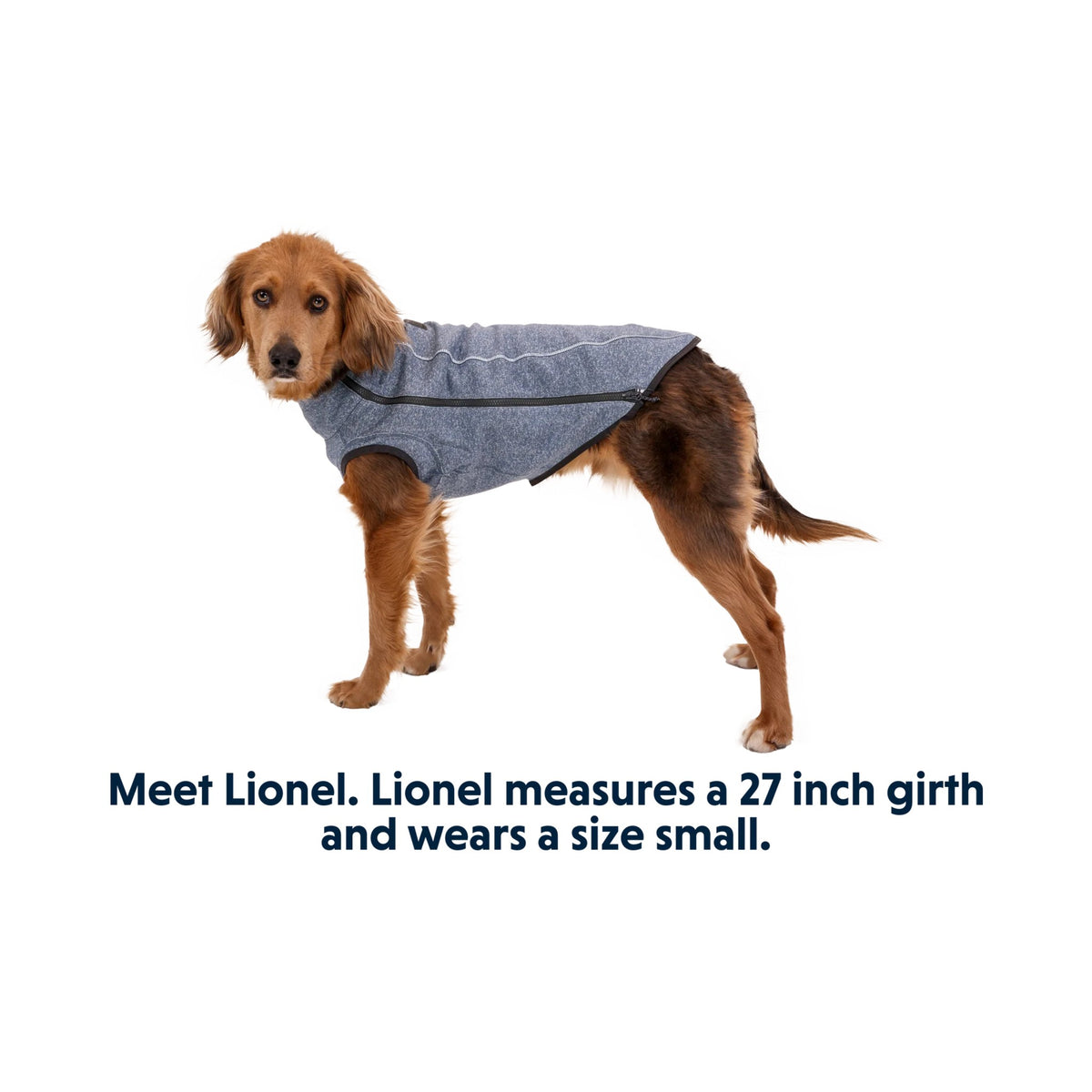 סוודר קנבוס לכלב Hemp Hound Dog Sweater