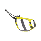 רתמה סט מלא ראפוור לריצה OMNIJORE HIPBELT