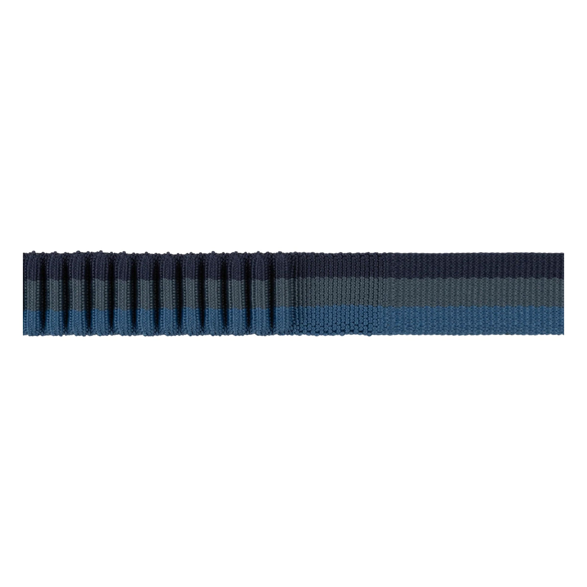 רצועה ראפוור Roamer leash