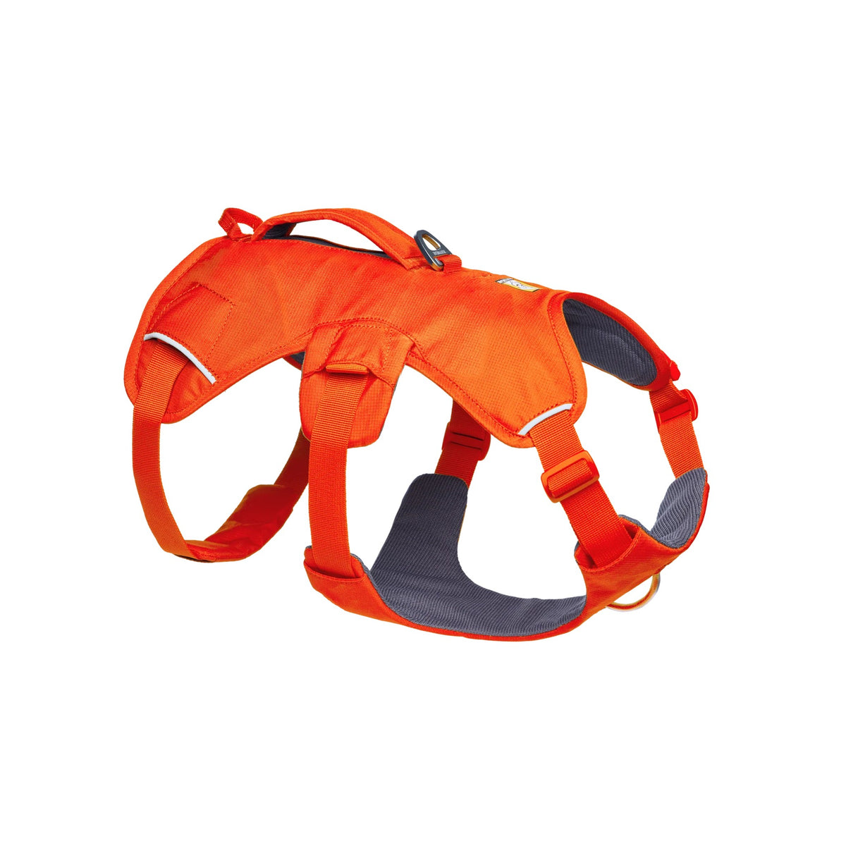רתמה ראפוור לכלב Web Master Harness