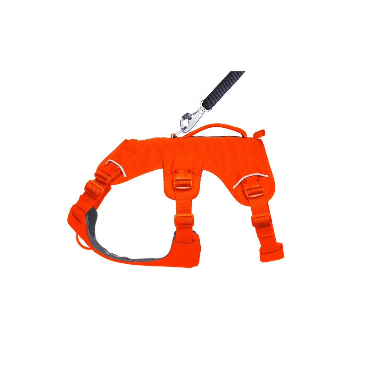 רתמה ראפוור לכלב Web Master Harness