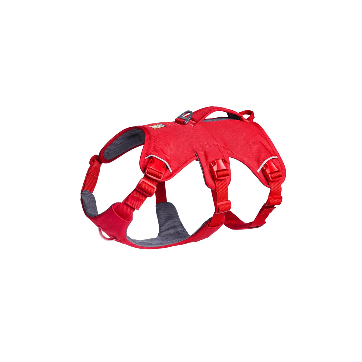רתמה ראפוור לכלב Web Master Harness