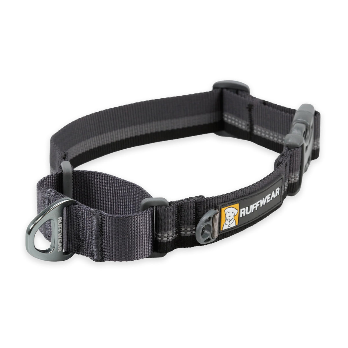 קולר ראפוור לכלב WEB REACTION MARTINGALE DOG COLLAR WITH BUCKLE