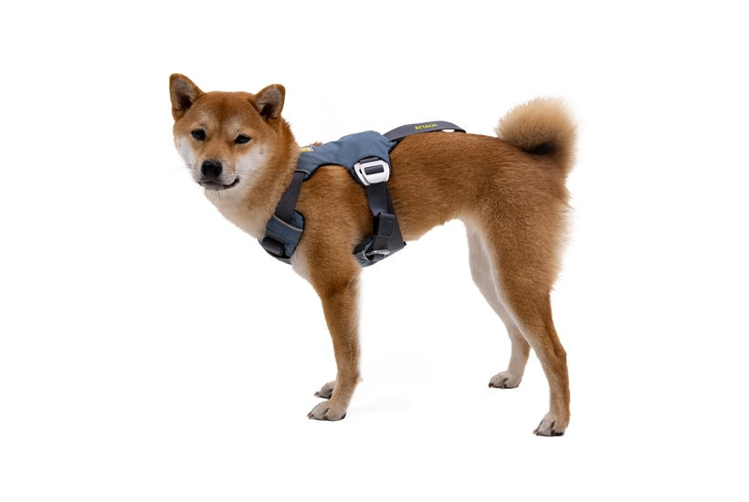 רתמת בטיחות לרכב LOAD UP ראפוור