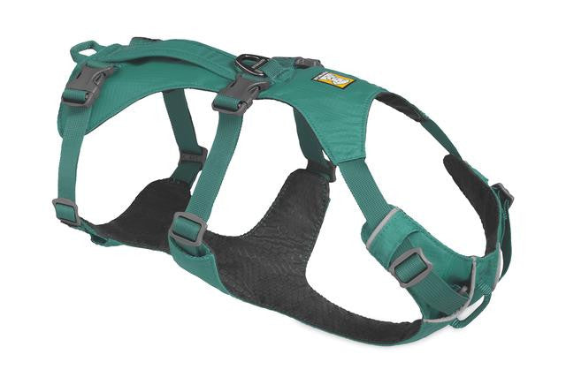 רתמה ראפוור לכלב FLAGLINE DOG HARNESS Meltwather Teal רתמה לכלב rutmha-rafuwr-lklb-flagline-dog-harness-meltwater-teal-xxs-13-17-in-791 Ruffwear