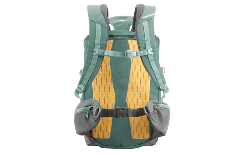 תיק גב נשיאה לכלב HITCH HIKER Ruffwear